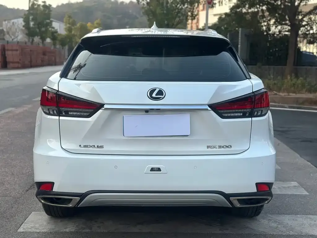 Lexus RX 2021 из CN, фото 3