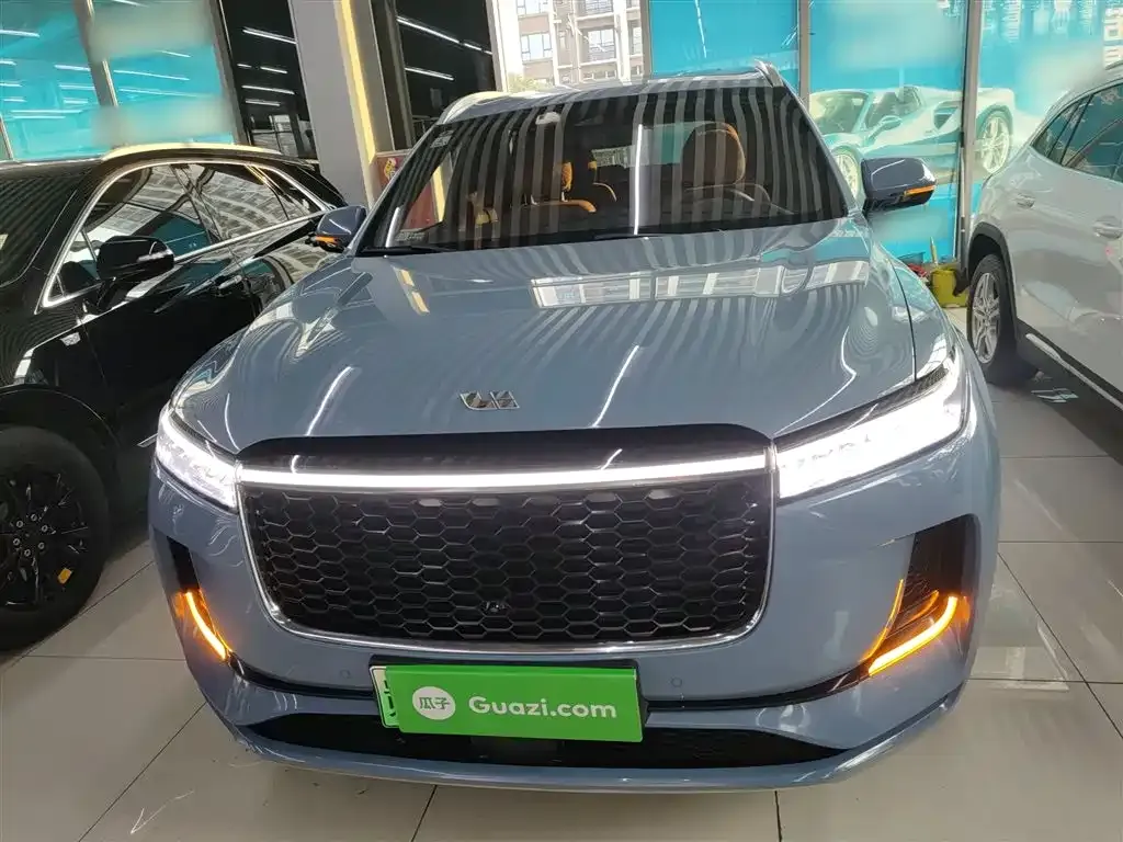 Li Auto ONE 2021 из CN, фото 5