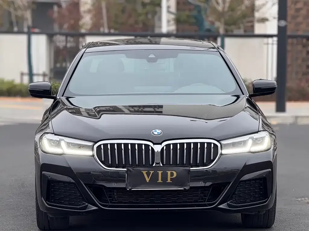 BMW 5 Series 2024 из CN, фото 1