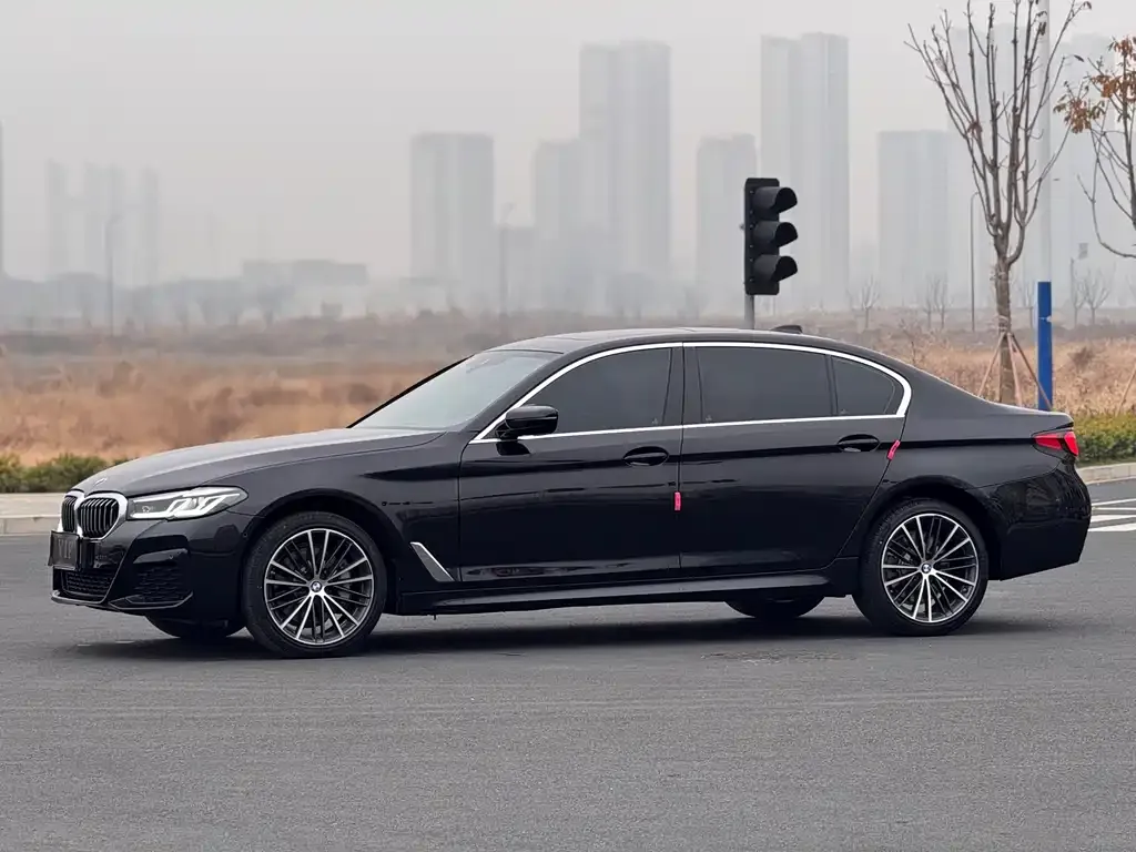 BMW 5 Series 2024 из CN, фото 9