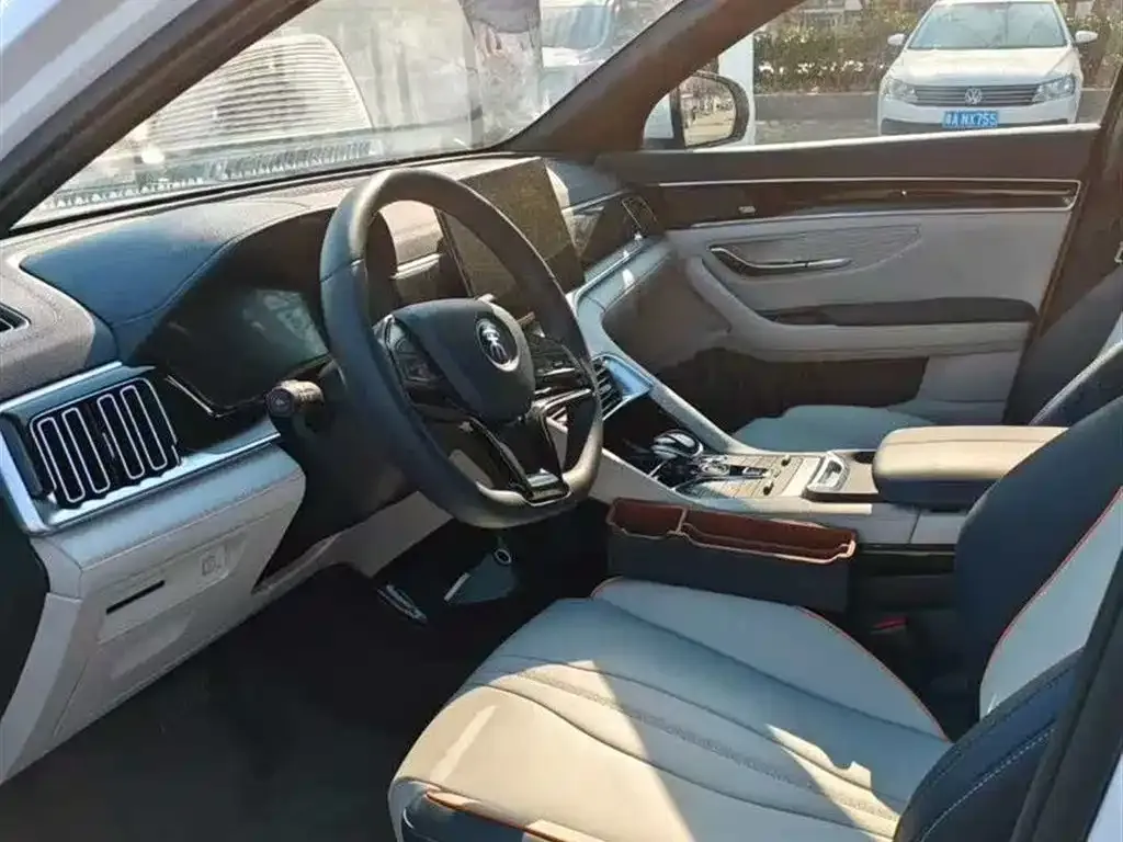 BYD PLUS New Energy 2022 из CN, фото 6