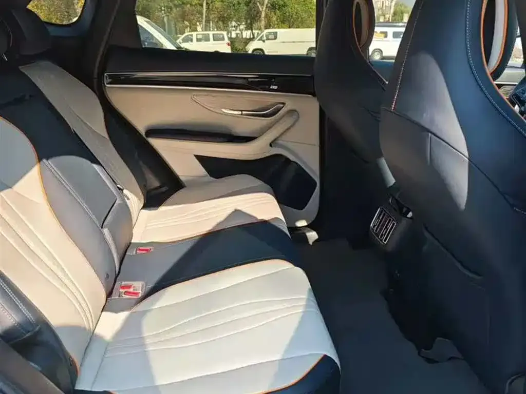 BYD PLUS New Energy 2022 из CN, фото 2