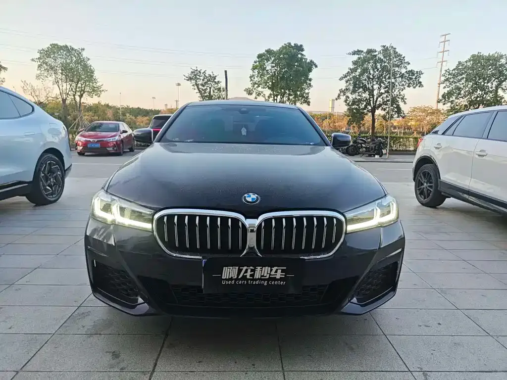 BMW 5 Series 2023 из CN, фото 7