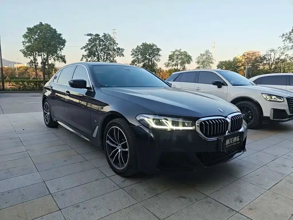 BMW 5 Series 2023 из CN, фото 3