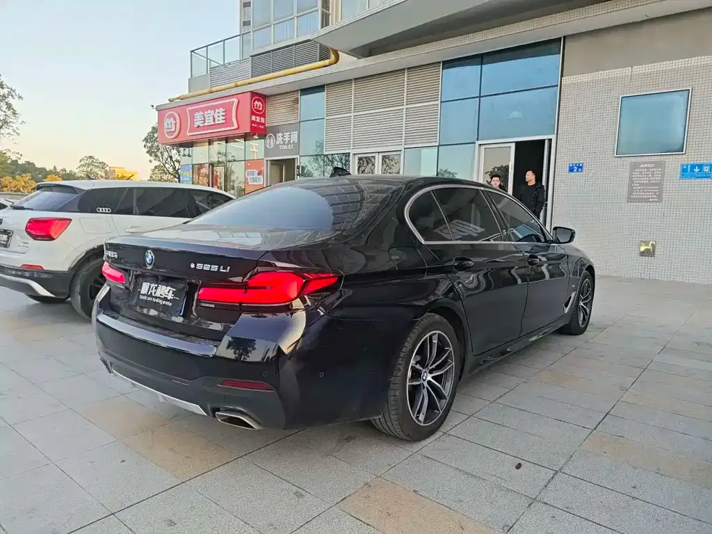 BMW 5 Series 2023 из CN, фото 6