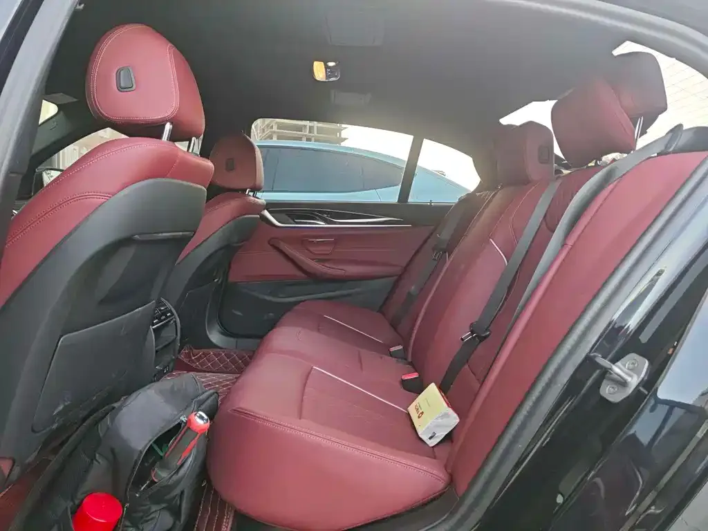 BMW 5 Series 2023 из CN, фото 2