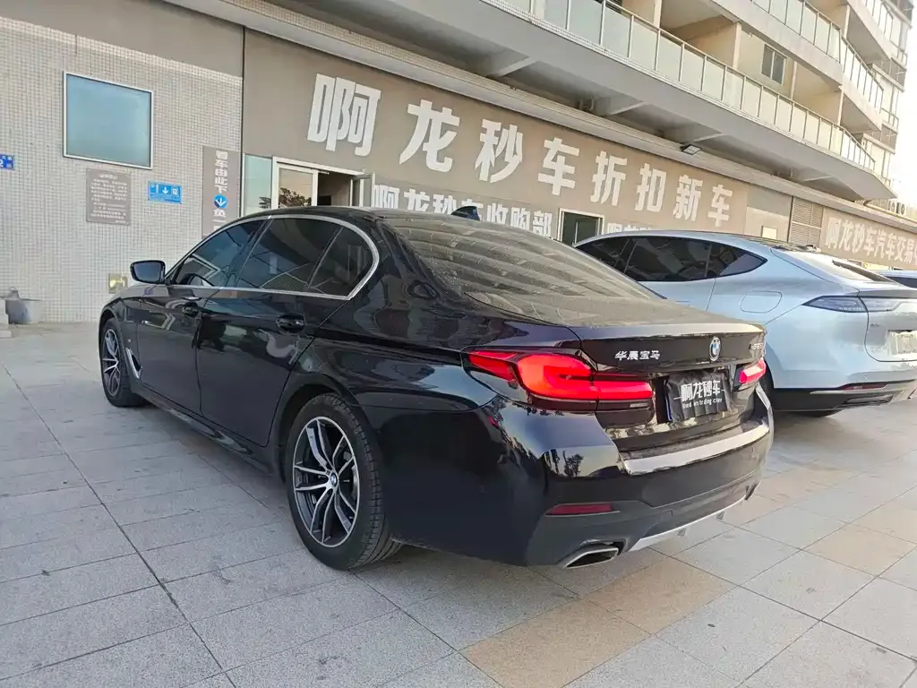 BMW 5 Series 2023 из CN, фото 8