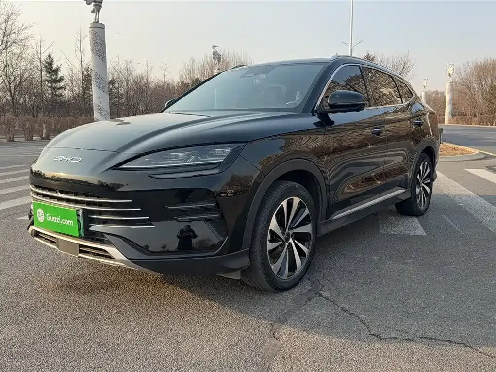 BYD PLUS New Energy 2023 из CN, фото 1