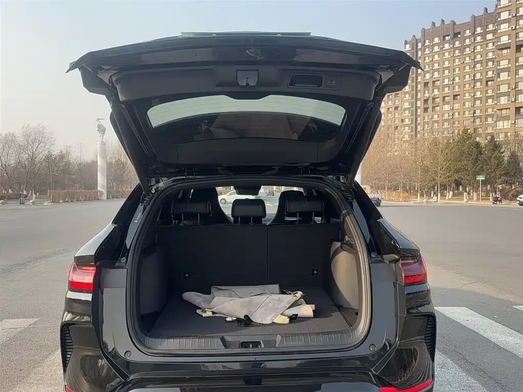 BYD PLUS New Energy 2023 из CN, фото 10
