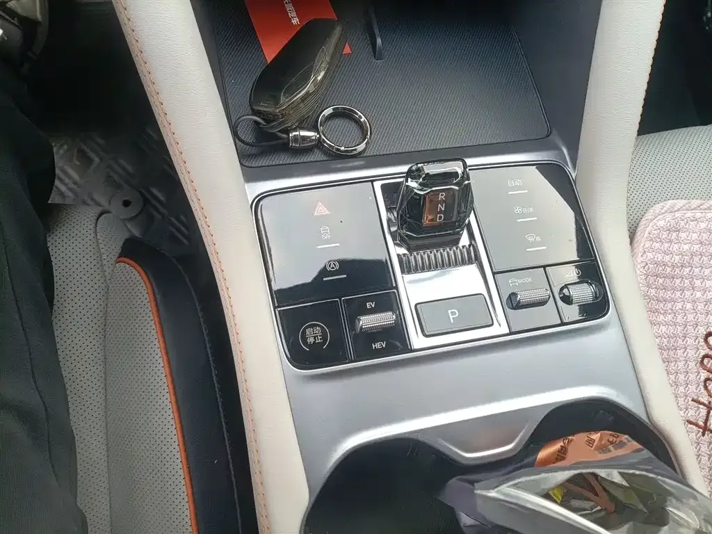 BYD PLUS New Energy 2023 из CN, фото 7