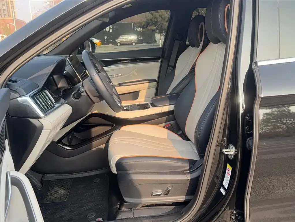 BYD PLUS New Energy 2023 из CN, фото 8