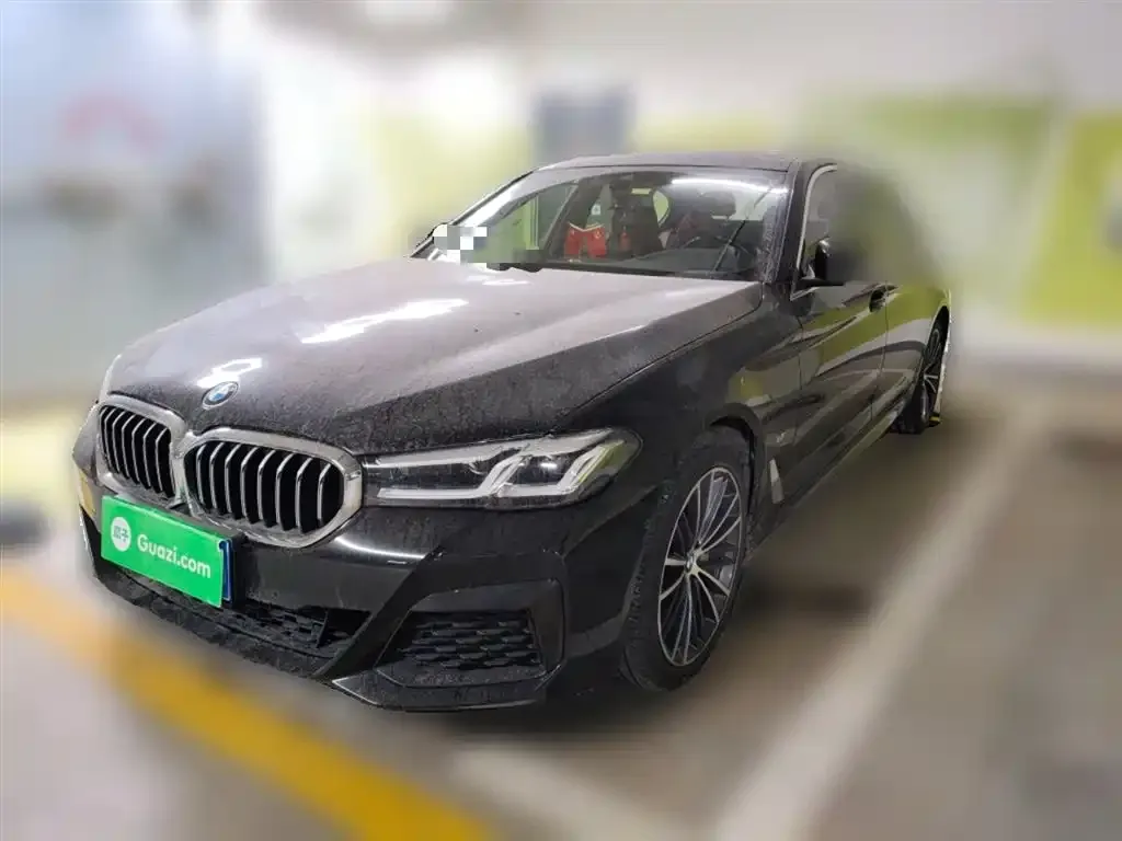 BMW 5 Series 2022 из CN, фото 1