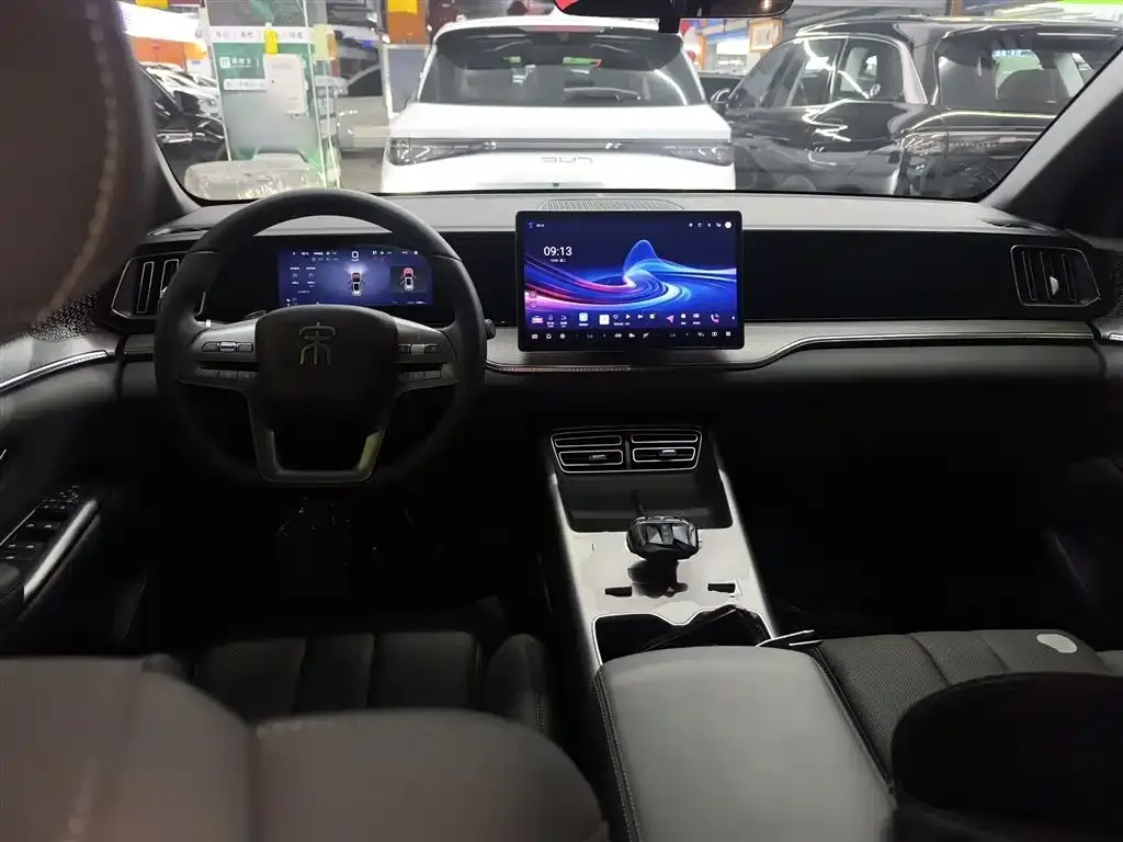 BYD Pro New Energy 2025 из CN, фото 7
