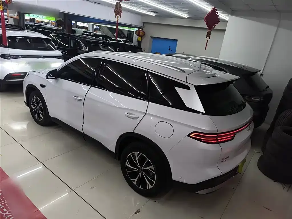 BYD Pro New Energy 2025 из CN, фото 3