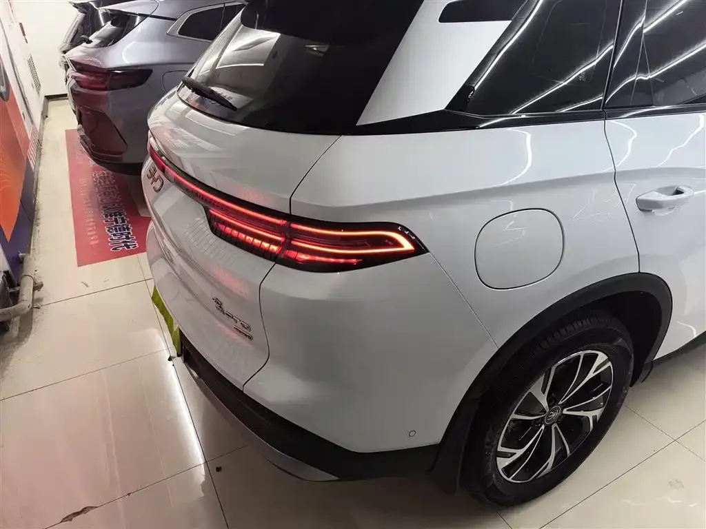 BYD Pro New Energy 2025 из CN, фото 8