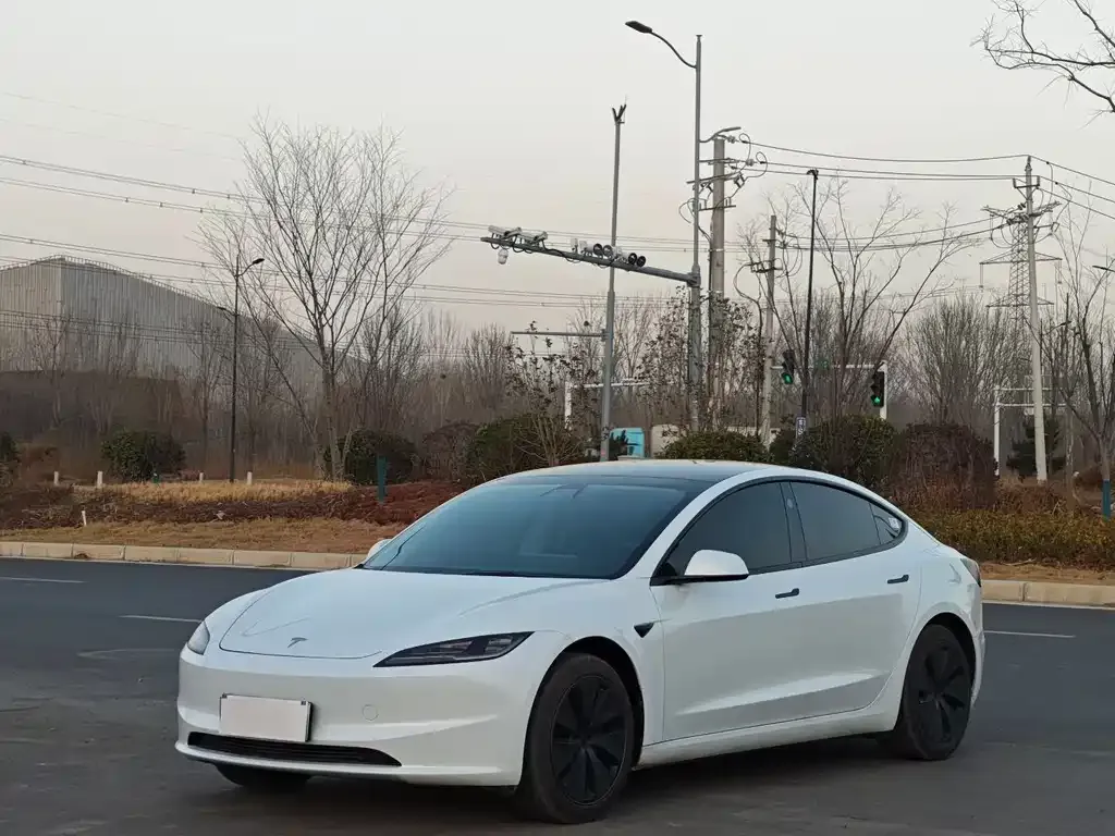 Tesla Model 3 2025 из CN, фото 1