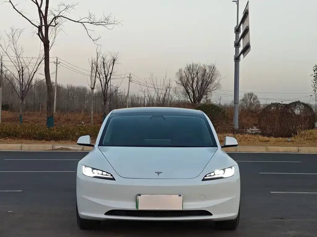 Tesla Model 3 2025 из CN, фото 6