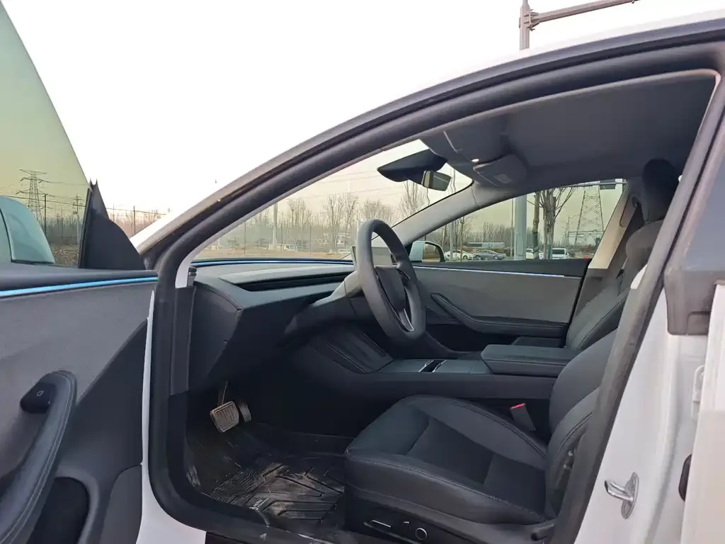 Tesla Model 3 2025 из CN, фото 4