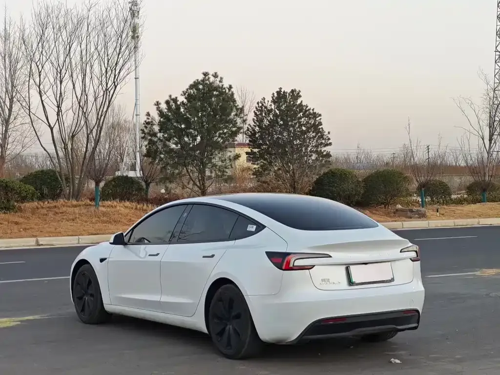 Tesla Model 3 2025 из CN, фото 3