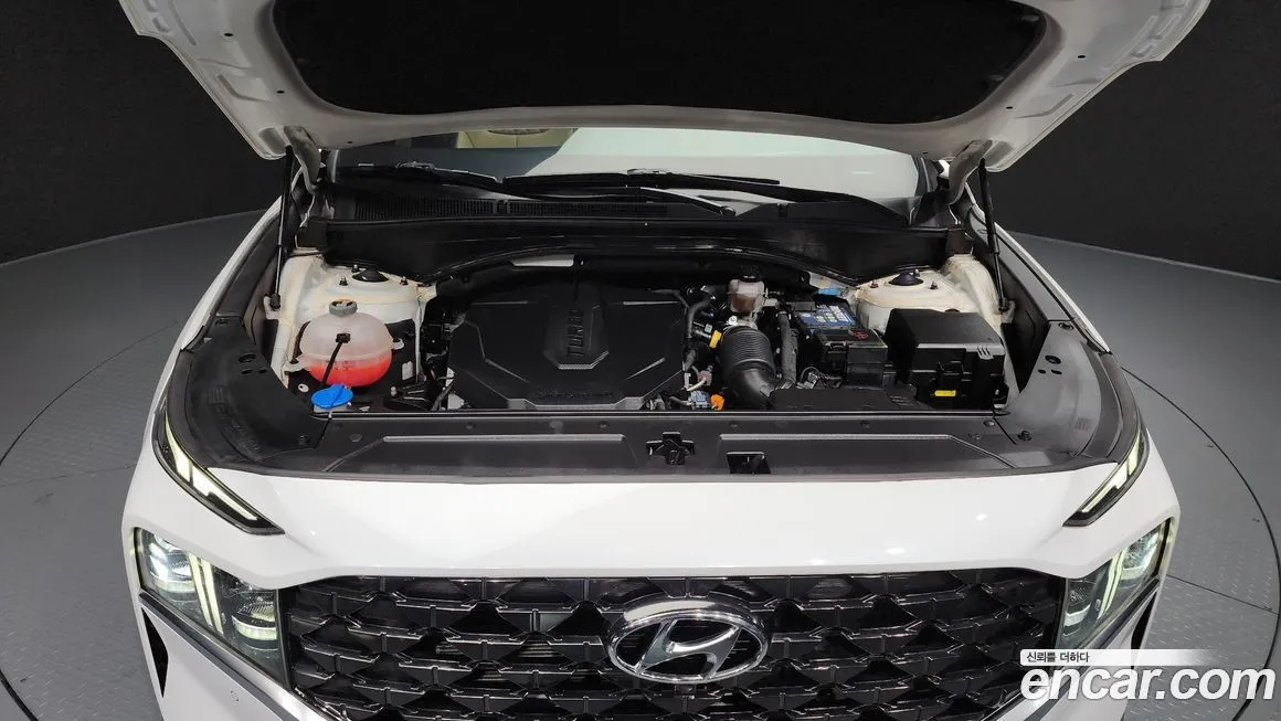 Hyundai Santafe 2021 из KR, фото 9