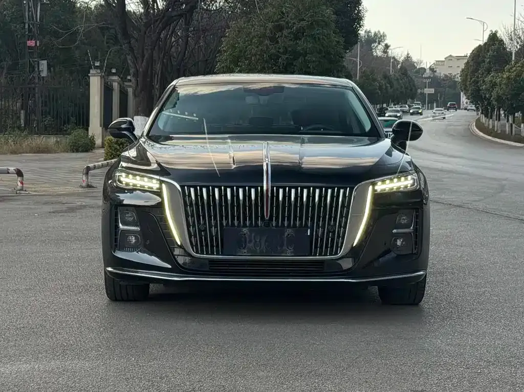 Hongqi H5 2023 из CN, фото 4