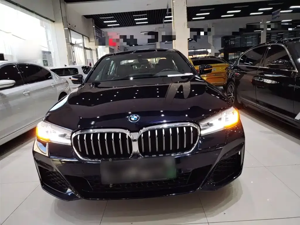 BMW 5 Series New Energy 2023 из CN, фото 2