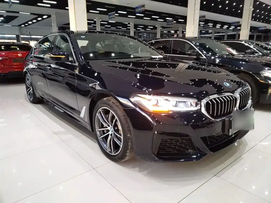 BMW 5 Series New Energy 2023 из CN, фото 9
