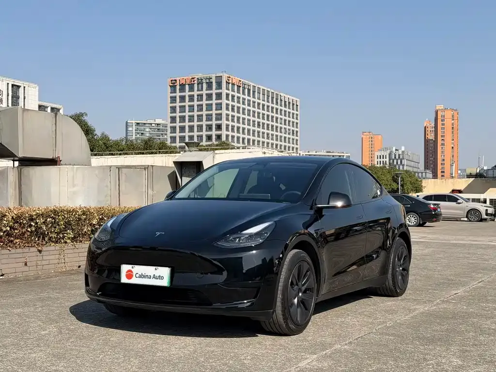 Tesla Model Y — фото 1
