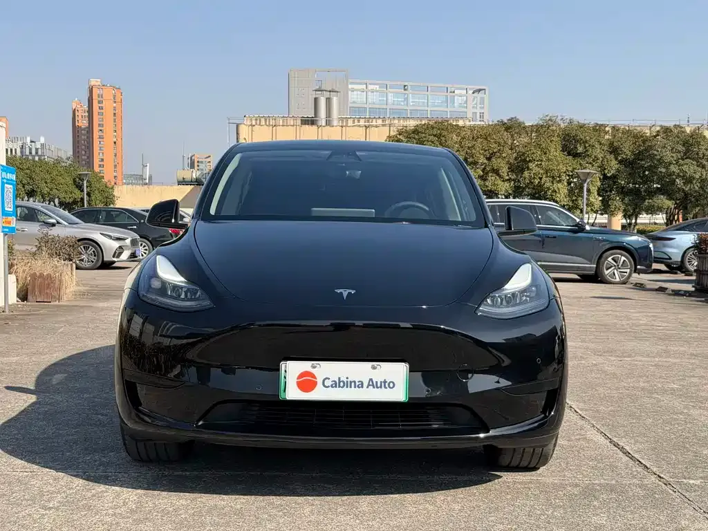 Tesla Model Y — фото 2