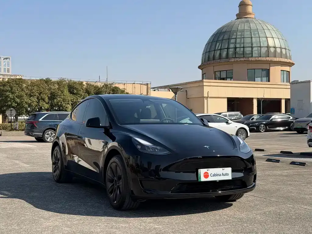 Tesla Model Y — фото 3