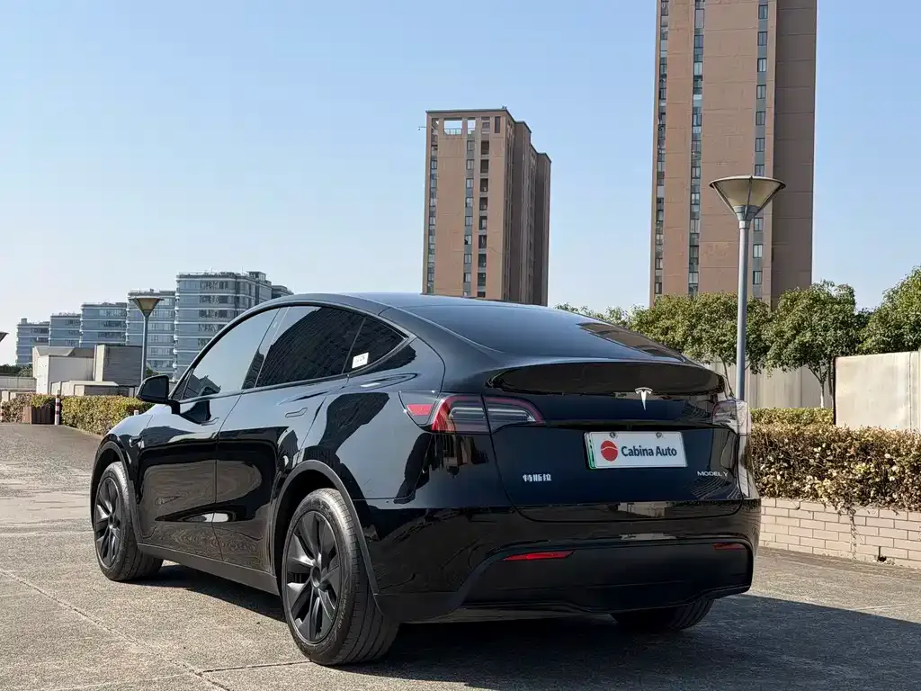 Tesla Model Y — фото 5