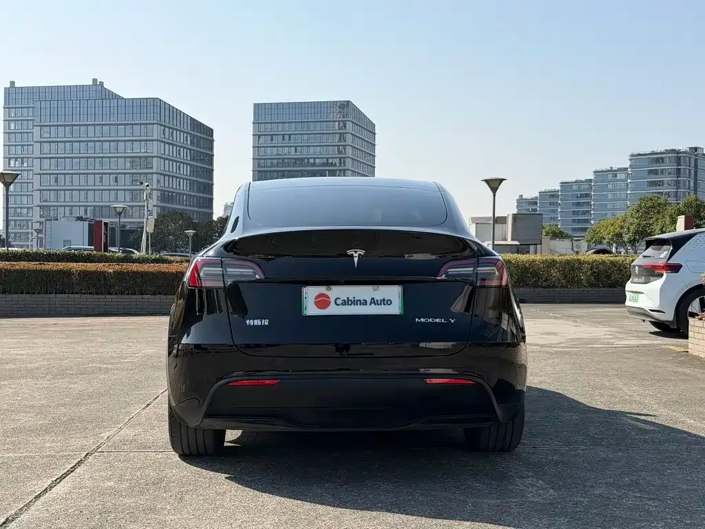Tesla Model Y — фото 6