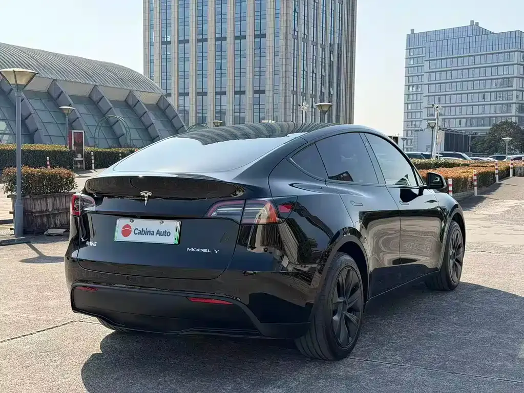 Tesla Model Y — фото 9
