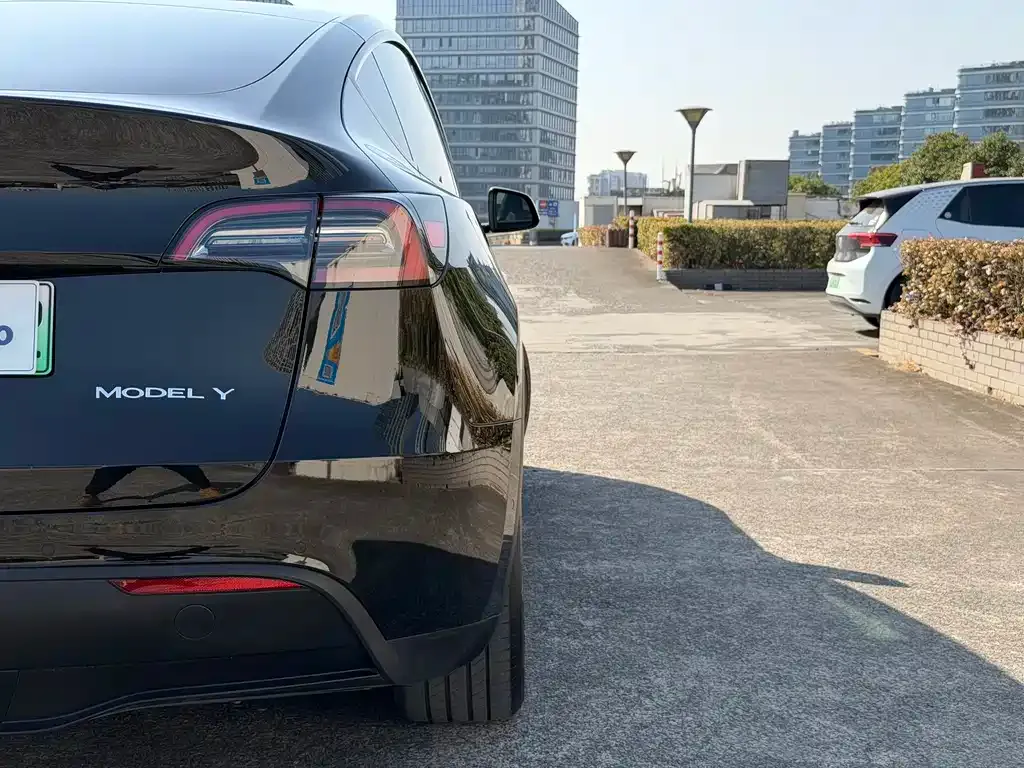 Tesla Model Y — фото 8