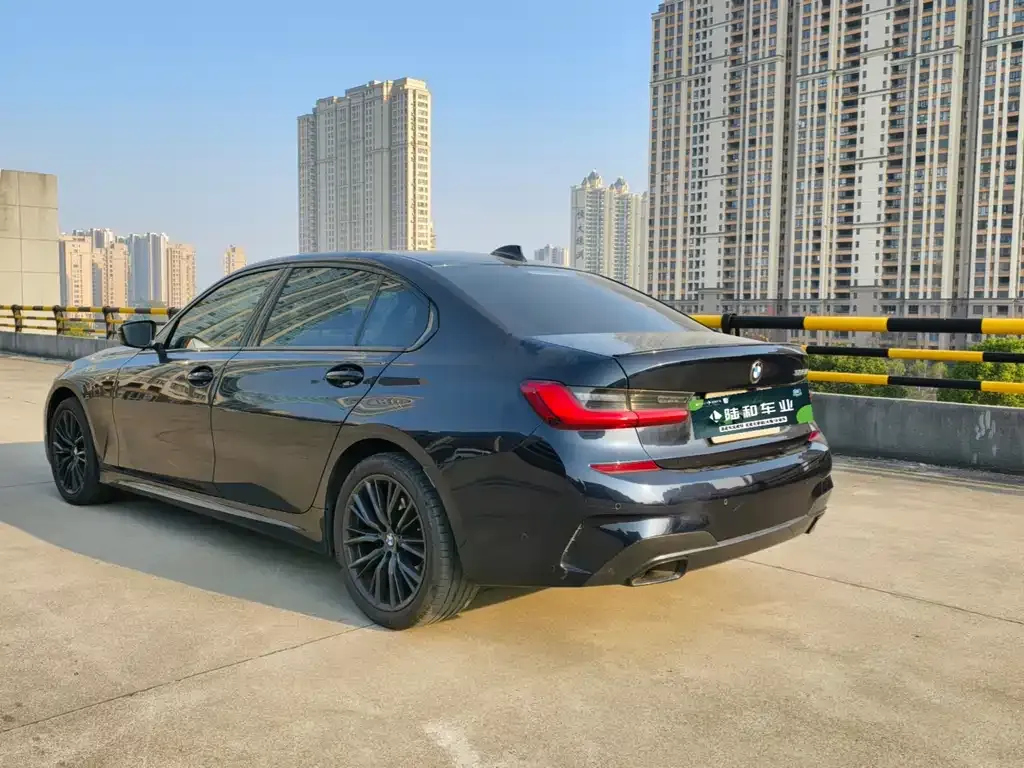 BMW 3 Series 2021 из CN, фото 4