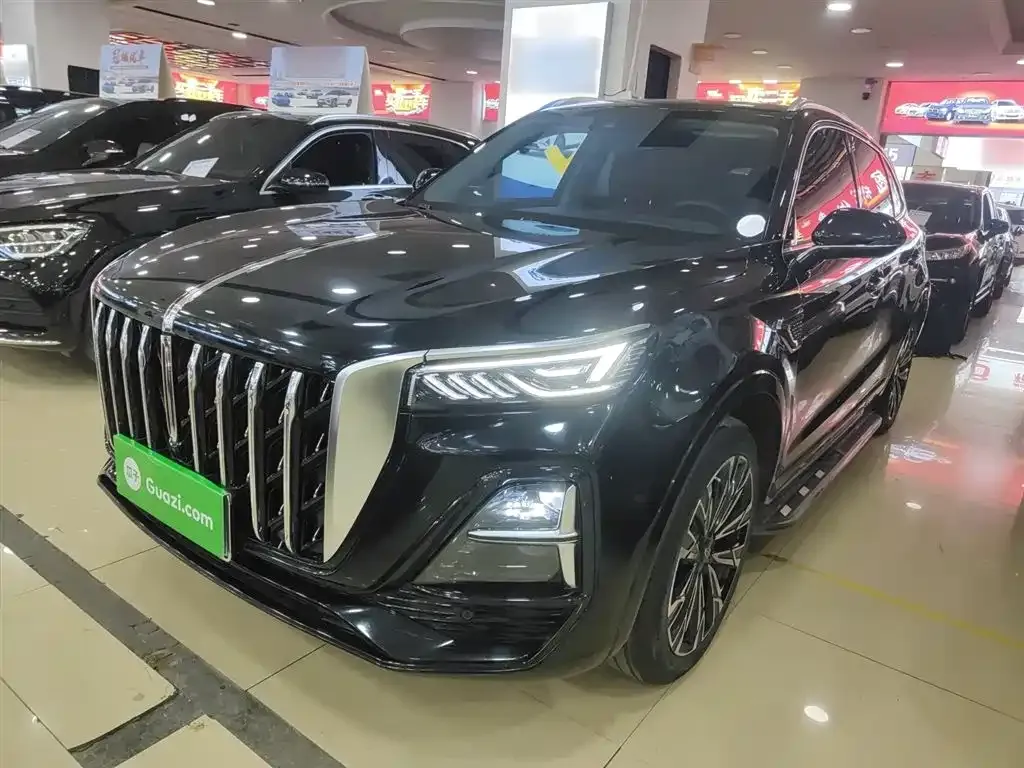 Hongqi HS5 2023 из CN, фото 3