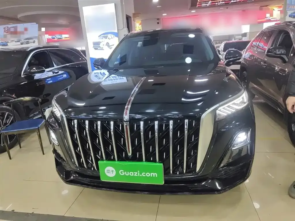 Hongqi HS5 2023 из CN, фото 10