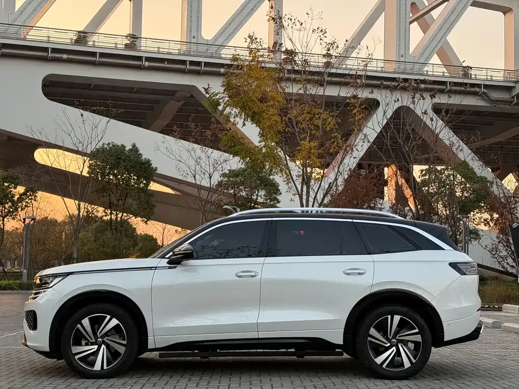 Volkswagen Tavendor 2024 из CN, фото 8