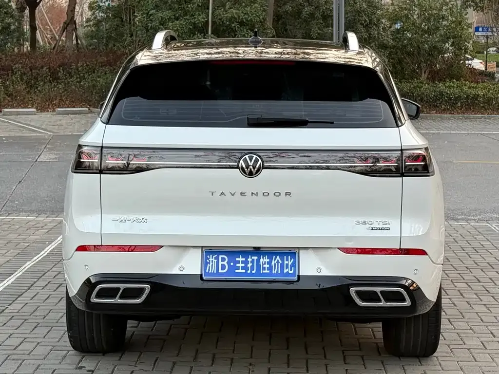 Volkswagen Tavendor 2024 из CN, фото 3
