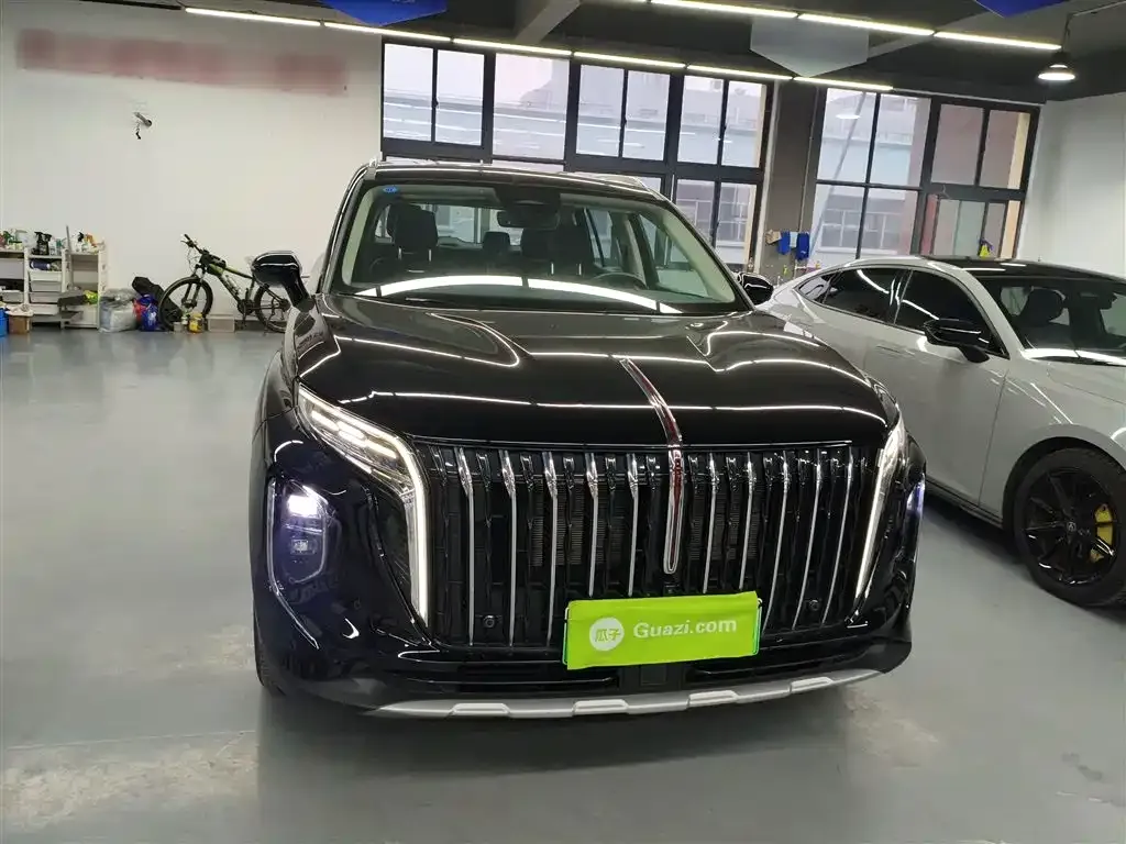 Hongqi HS7 PHEV 2024 из CN, фото 9