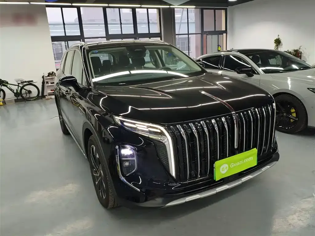 Hongqi HS7 PHEV 2024 из CN, фото 5