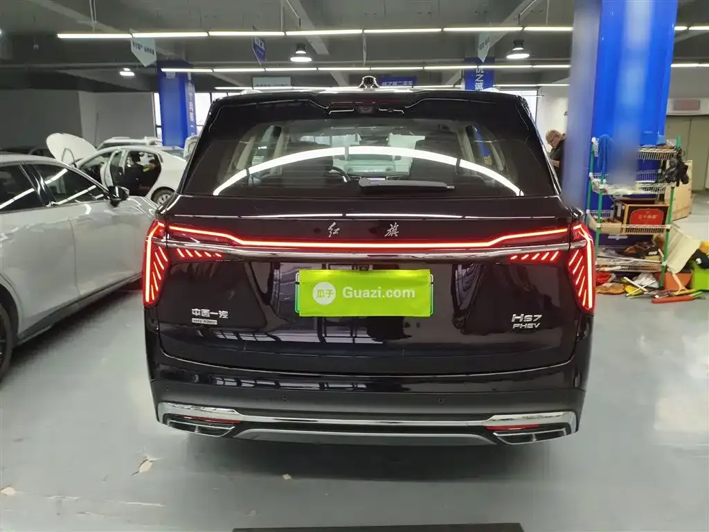 Hongqi HS7 PHEV 2024 из CN, фото 6