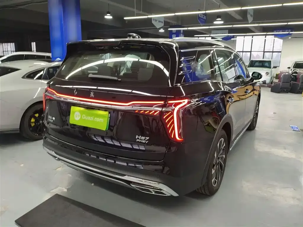 Hongqi HS7 PHEV 2024 из CN, фото 10