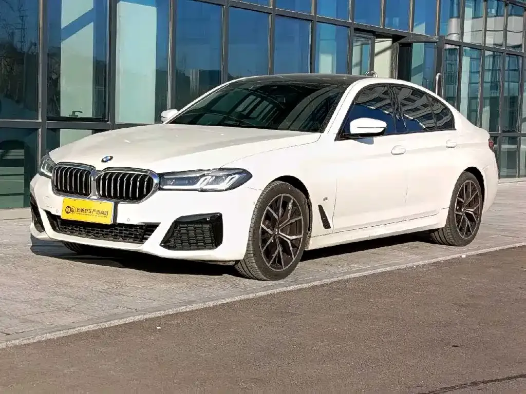 BMW 5 Series (Import) 2021 из CN, фото 1
