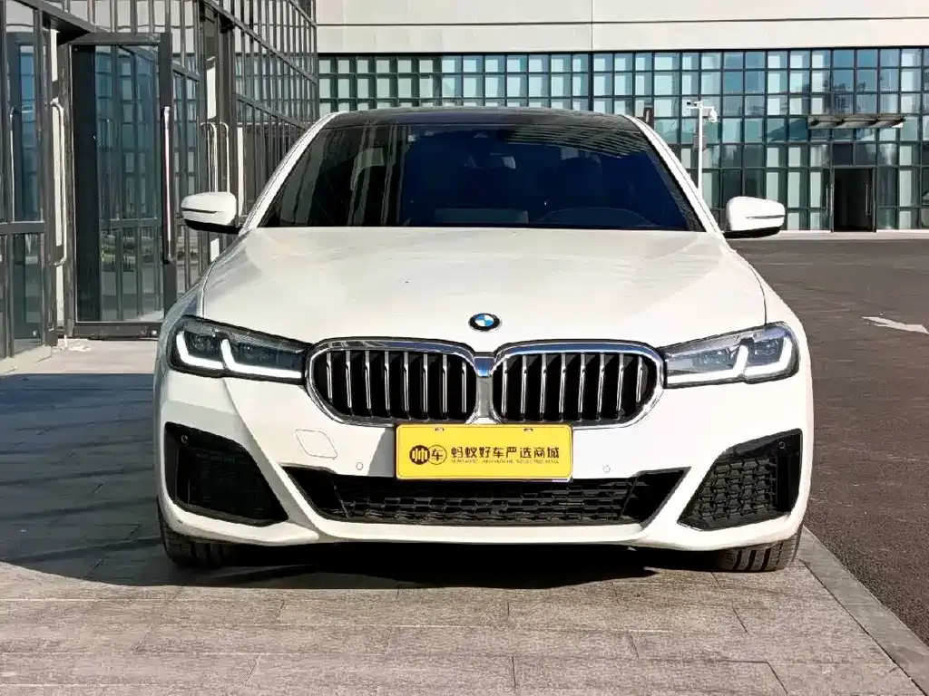 BMW 5 Series (Import) 2021 из CN, фото 6