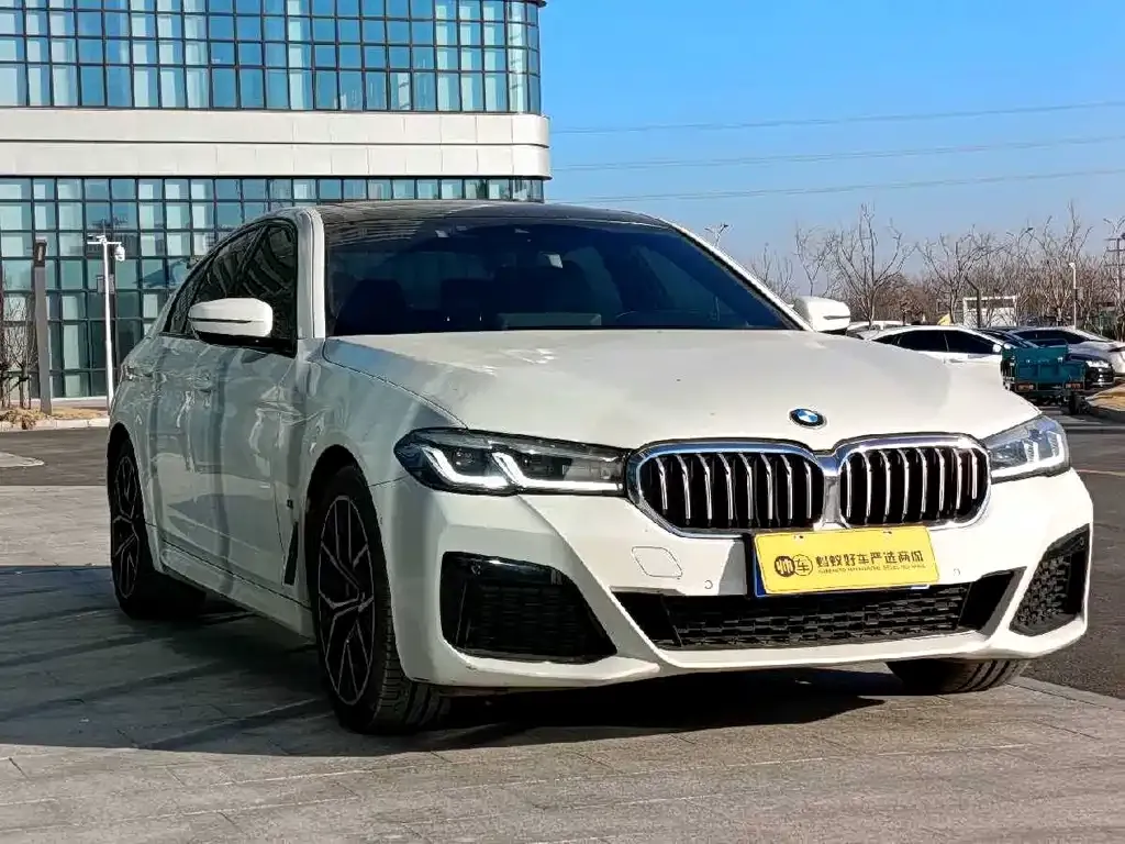 BMW 5 Series (Import) 2021 из CN, фото 2