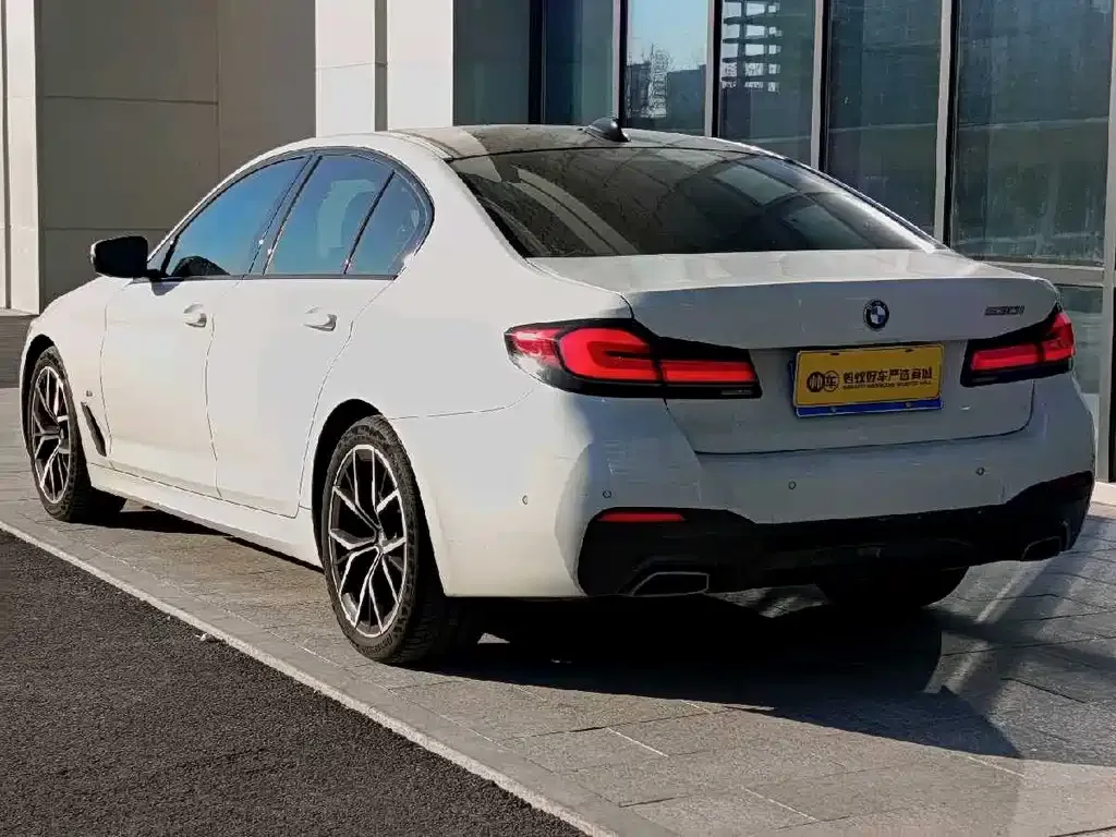 BMW 5 Series (Import) 2021 из CN, фото 5