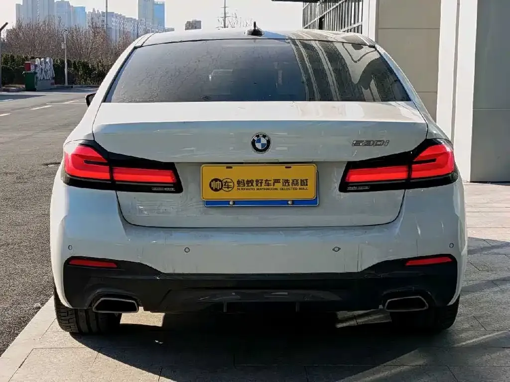 BMW 5 Series (Import) 2021 из CN, фото 3