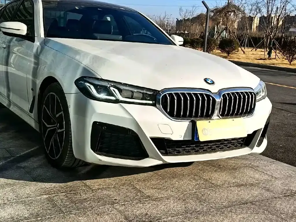 BMW 5 Series (Import) 2021 из CN, фото 7