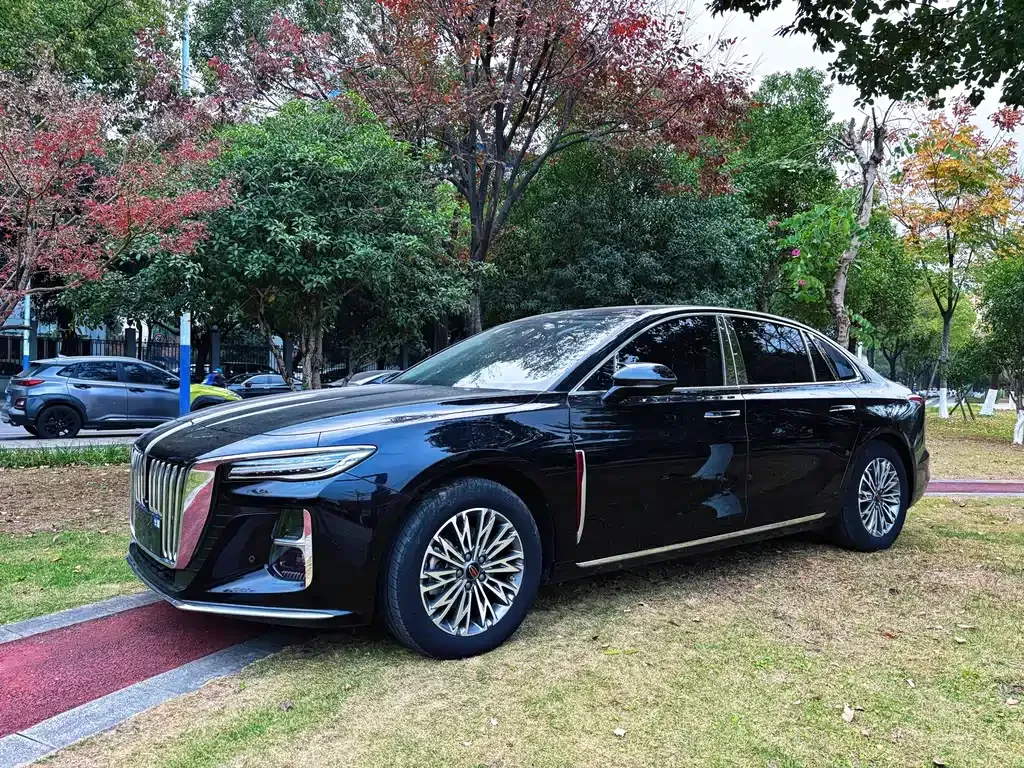 Hongqi H5 2023 из CN, фото 1